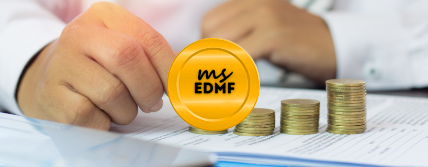 Extended Duration Memecoin Fund